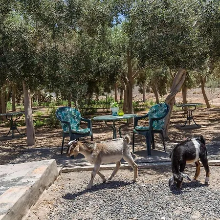 Διαμέρισμα Eden Ecologico En Casa La Fuentita