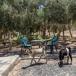 Eden Ecologico -adults Only Lejlighed