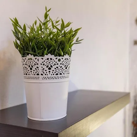 Eden Ecologico En Casa La Fuentita